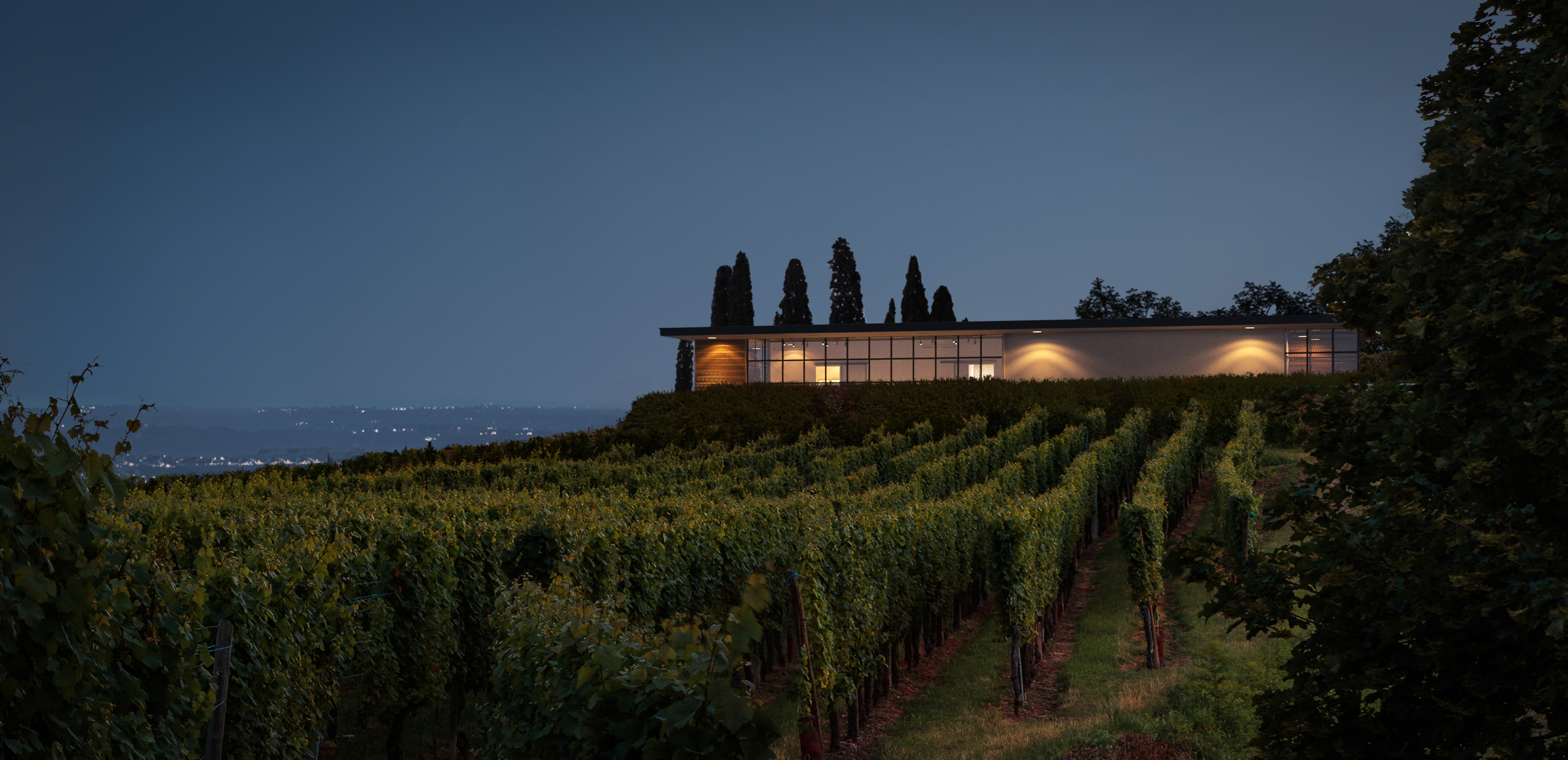 Italian villa at twilight by Arc Digital